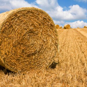 Fardo de Rolo 1,2m Feno Biologico 200KG