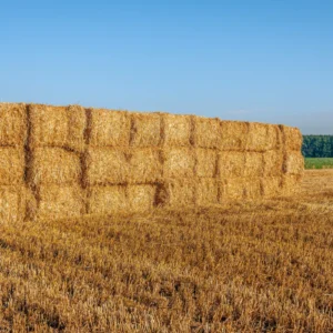 Fardo Rectagular Pequeno Feno Biologico 20KG